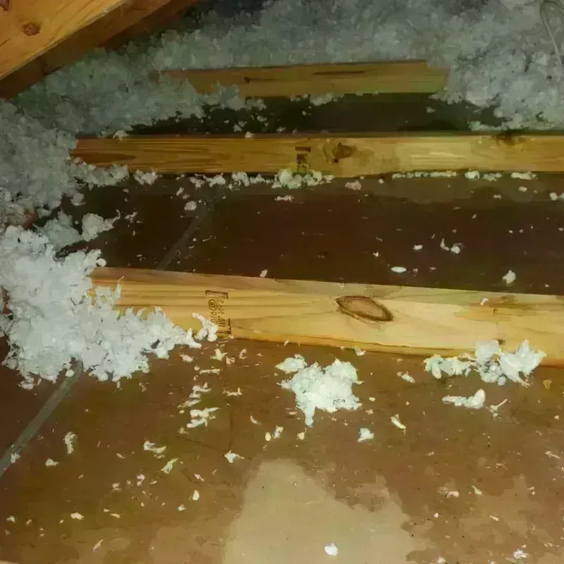 Attic Water Damage in Parker, TX