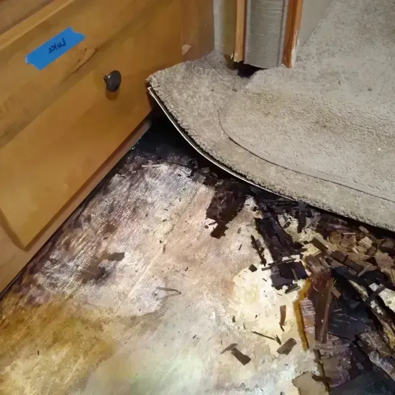 Wood Floor Water Damage in Parker, TX